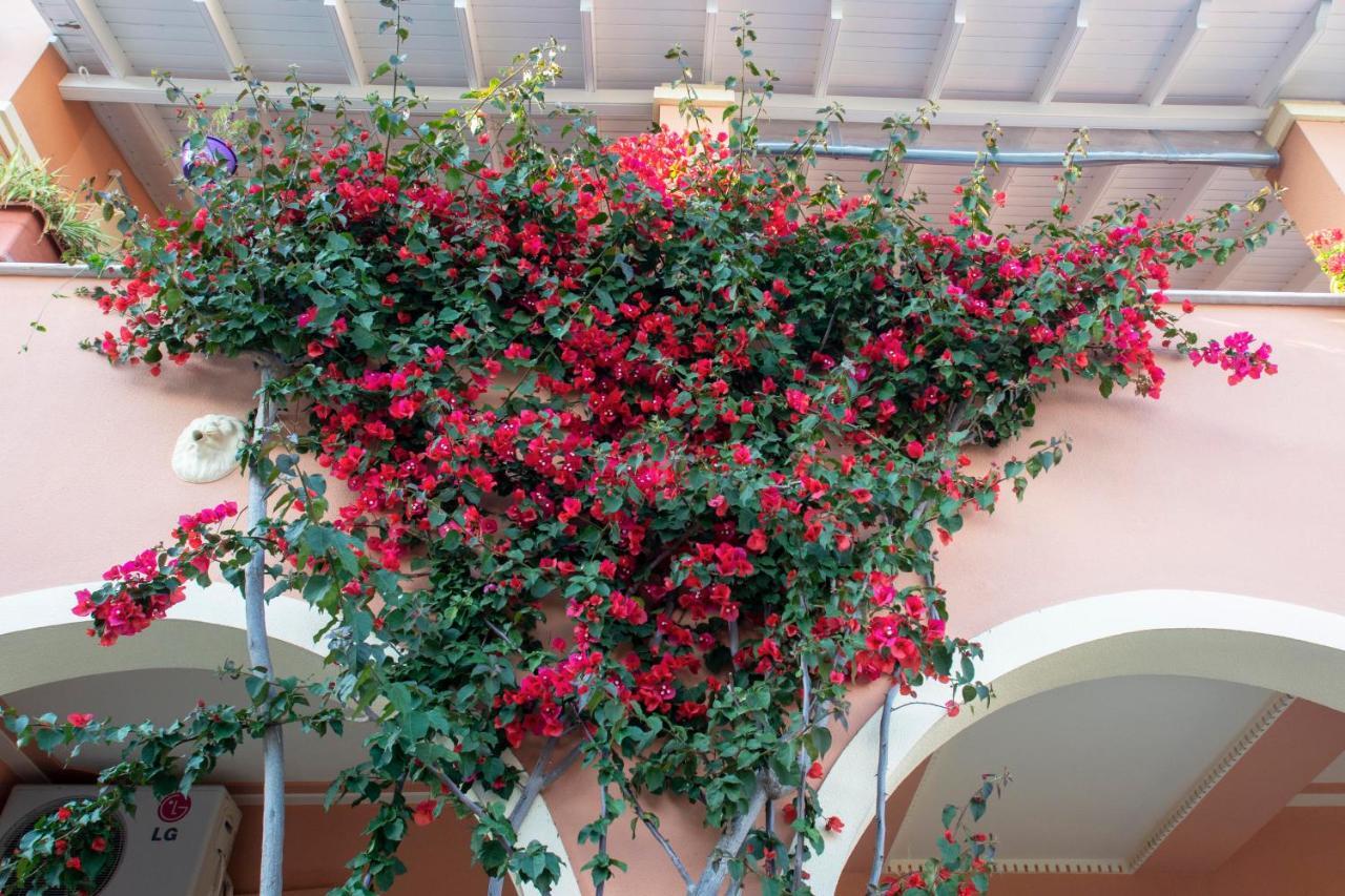 The Red Bougainvillea Apartments Kanálion Eksteriør billede